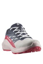 Salomon Alphaglide Gtx Γυναικεία Παπούτσια Ορεινού Τρεξίματος 478023-22 Μπλε/Ροζ - Image 3